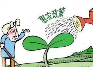 农村改革_农村义务教育经费保障机制改革政策落实情况汇报_改革在农村得以突破是因为