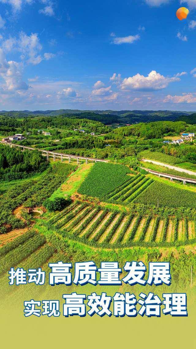 乡村振兴 财政局_中央乡村振兴战略_乡村振兴