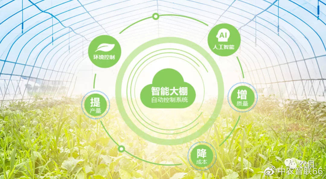 智慧农业_智慧农业ppt_黎玉成 智慧农业