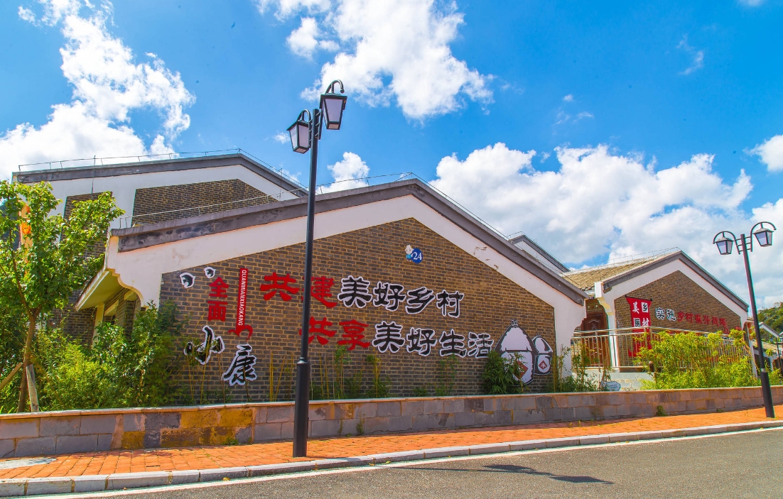  "数字乡村建设：背景揭秘与人居环境改善的重大意义"