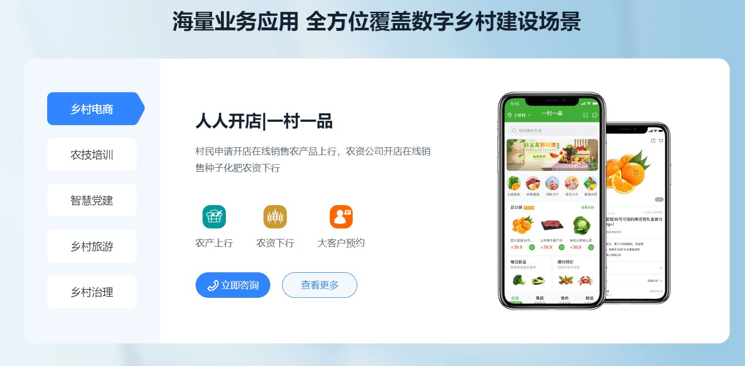 如何打造精准高效的数字乡村建设策略及方法？迅速实现乡村数字化(4)