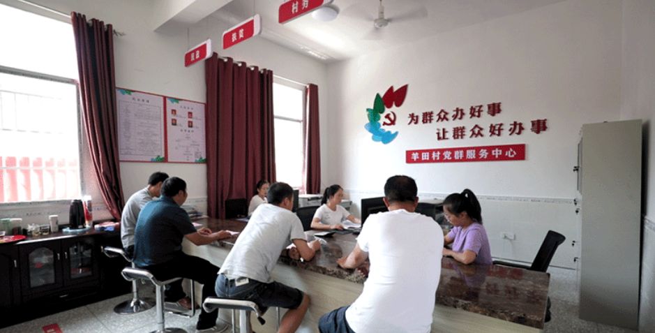 乡村数字化变革：一键办事，让生活更美好(4)