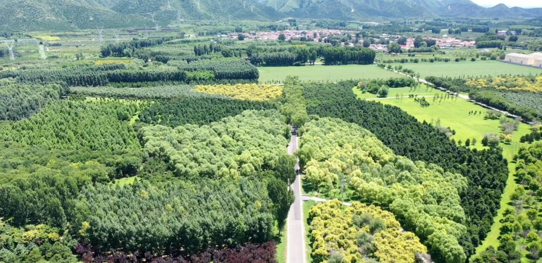 探索数字科技如何助力乡村建设：让百姓尽享发展硕果！(2)