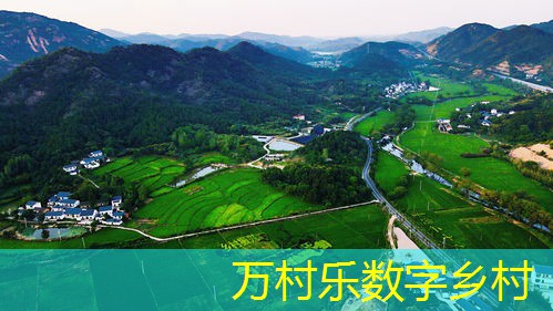 农业现代化步伐加快：国际化趋势与挑战