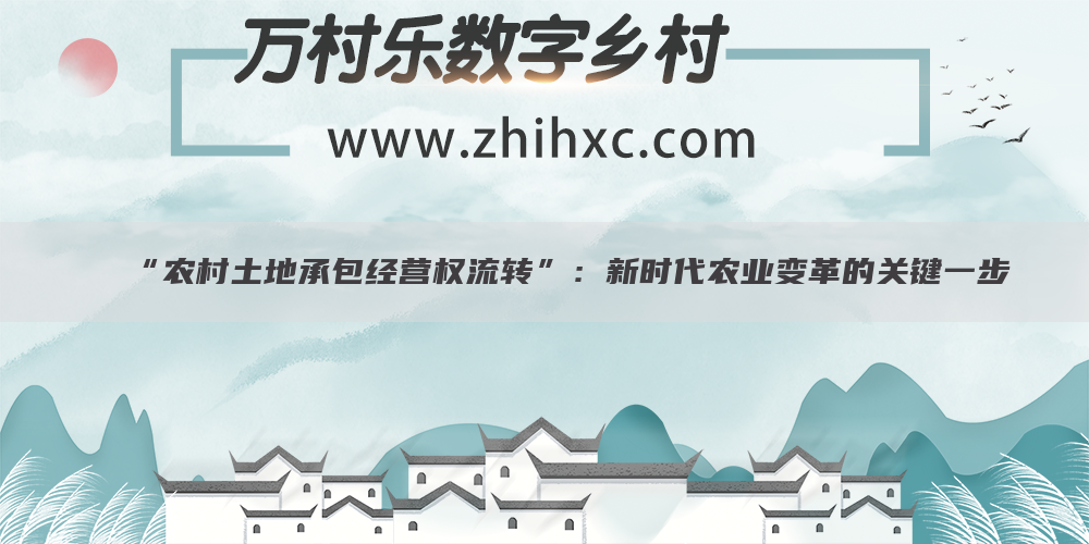 “农村土地承包经营权流转”:新时代农业变革的关键一步