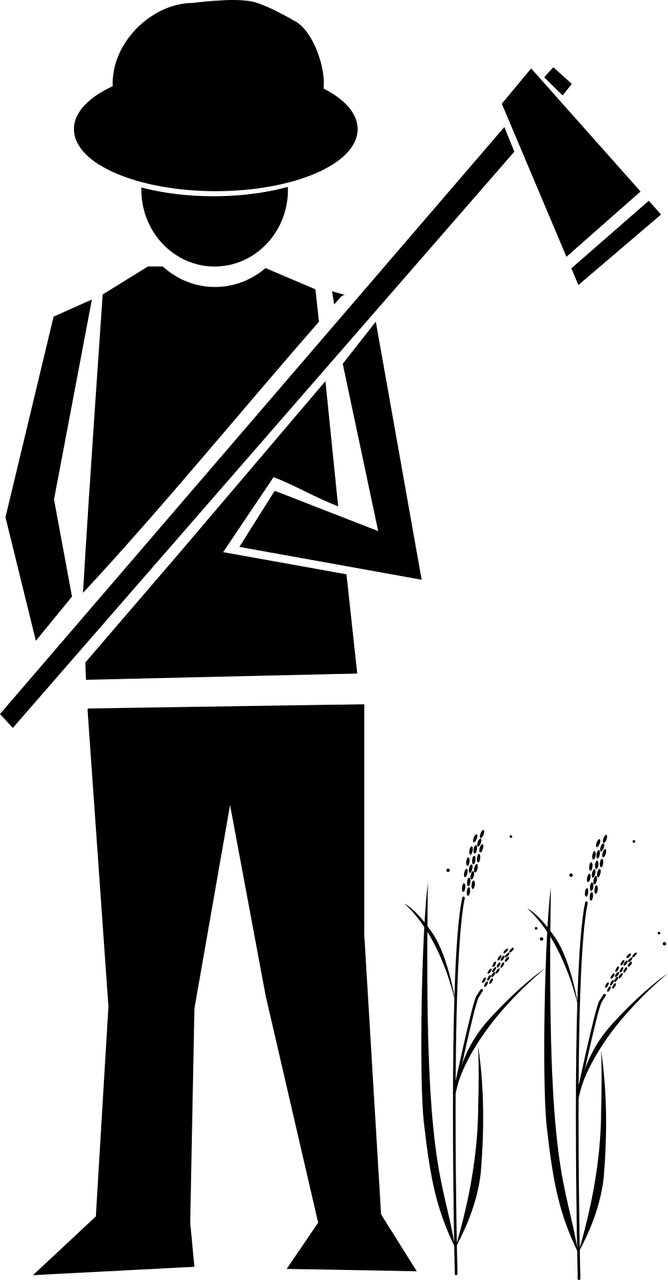 构筑数字田园:重塑乡村产业,迈向未来新篇章