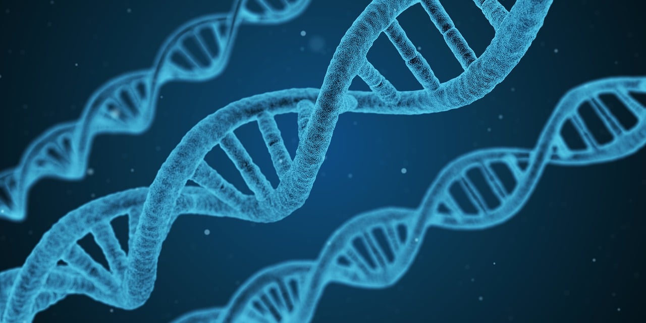 数字技术如何破解乡村治理难题?这份秘籍请收好