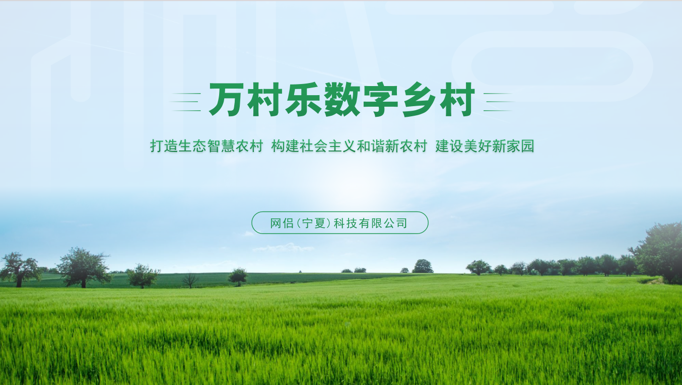 乡村数字化转型数据不准确问题解决策略有效规避实施风险(1)