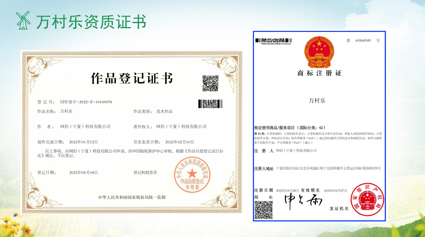 防止返贫监测系统全面升级精准帮扶全覆盖实现路径(1) 防止返贫监测系统全面升级精准帮扶全覆盖实现路径(1)