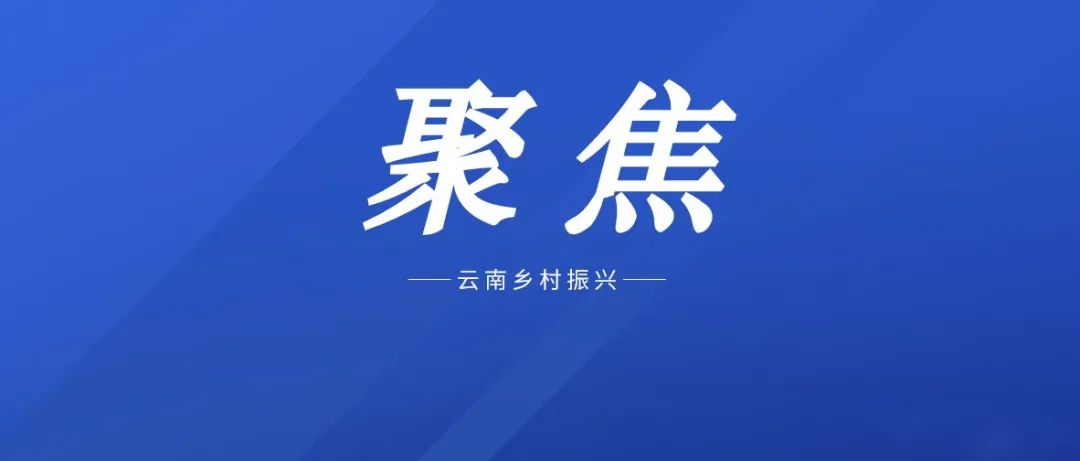 推进数字乡村建设,助力乡村振兴