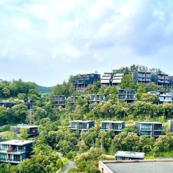 乡村振兴元问题:建设一个什么样的村庄?