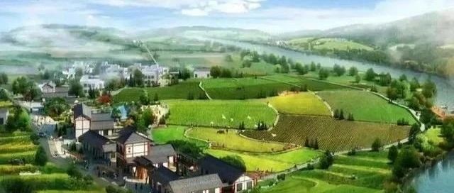 数字乡村建设：形势、特征与重点