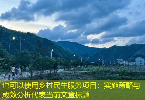 乡村民生服务项目：实施策略与成效分析