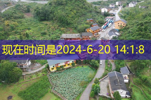 乡镇基层服务中心：建设与运营全攻略