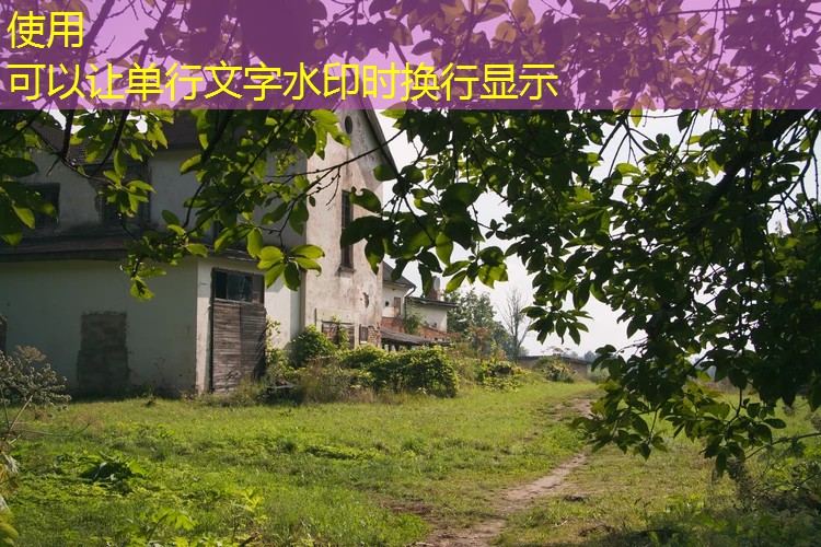 农村污水处理：现状、技术与未来展望