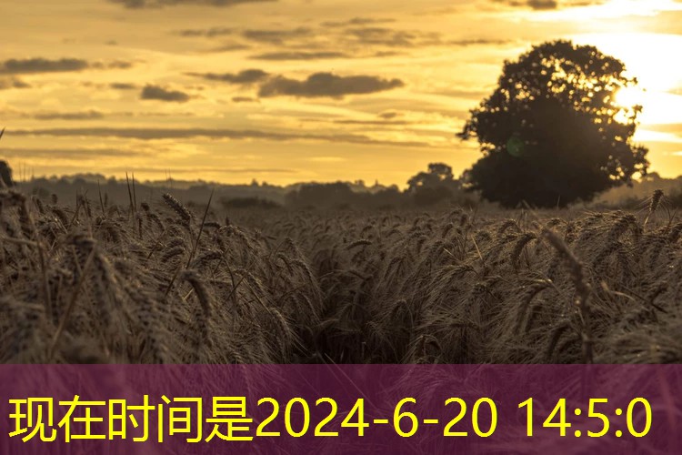数字乡村开源代码资源：未来发展与应用案例解析