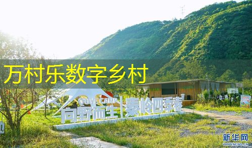 农业智能机器人：现代农业的革新力量
