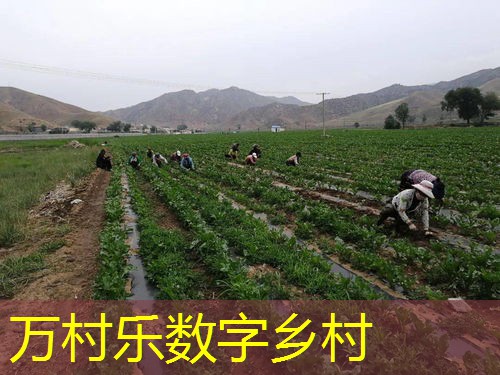 智慧养殖环境自动调控：技术原理与实际应用