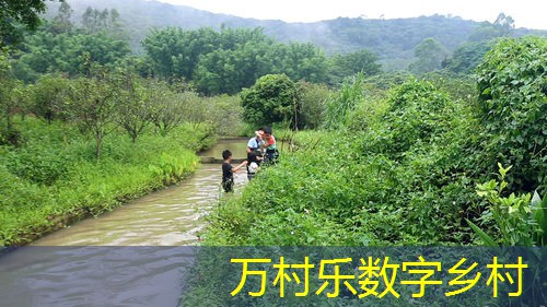 遥感技术在智慧农业中的革命性作用：提升效率与可持续性