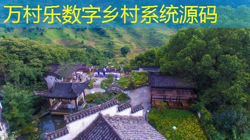 乡村公共卫生智慧服务：定义、应用与未来展望