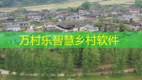 乡村公共卫生智慧服务：定义、应用与未来展望