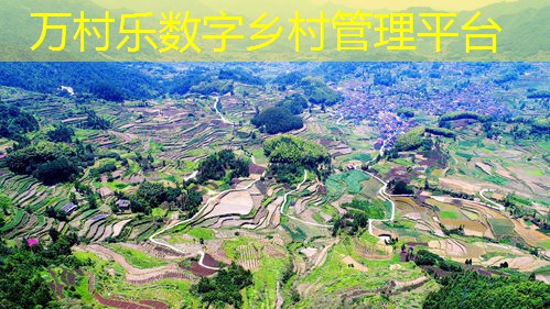 乡村集体经济发展：现状、政策与未来展望