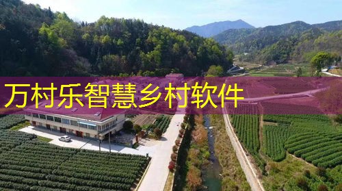 乡村振兴人才引进机制：重要性、现状与创新策略