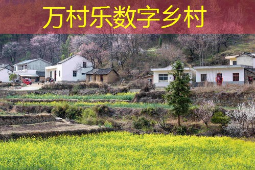 农业现代化与功能拓展：探索未来农业发展的新路径