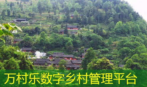 乡村治理中的民主监督机制：现状、挑战与未来发展