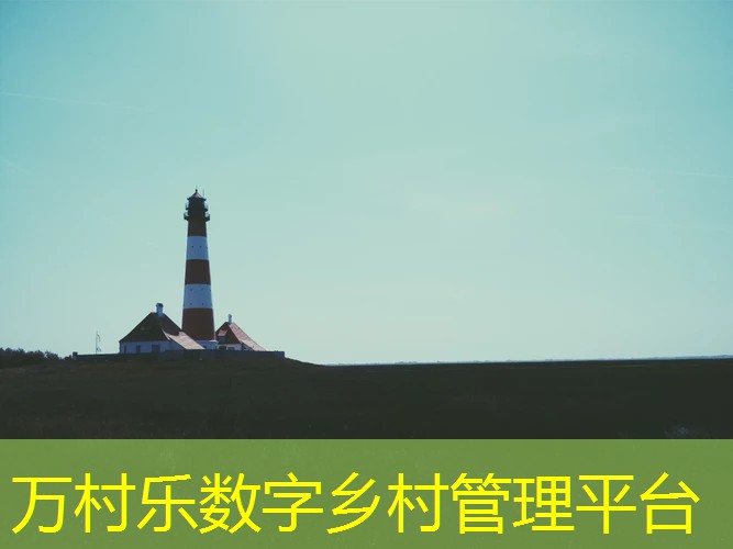 农业社会化服务模式创新：定义、挑战与未来趋势