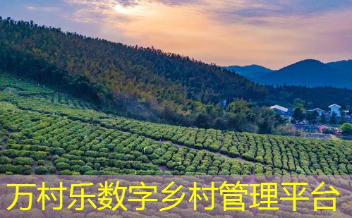 智慧农村大数据平台：农业现代化的新引擎