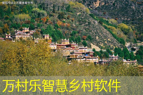 乡村治理基层民主自治：现状、挑战与未来展望