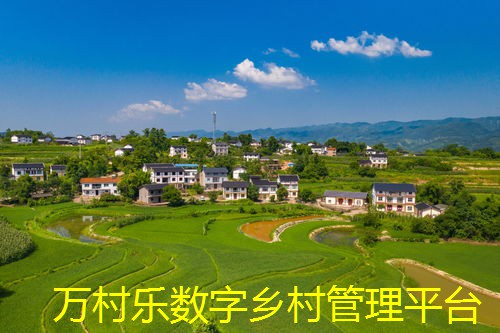 智慧农村数字普惠金融：现状、技术助力、挑战与机遇、政策创新及未来趋势
