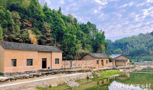 乡村治理社会信用体系建设：现状、挑战与未来展望
