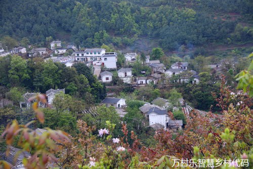 智慧乡村建设的风险防控与应对：数据安全、技术更新与社区参与的全面解析