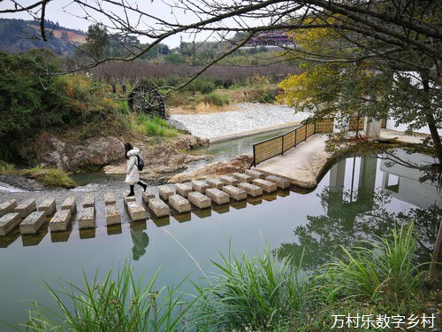 智慧乡村建设的风险防控与应对：数据安全、技术更新与社区参与的全面解析