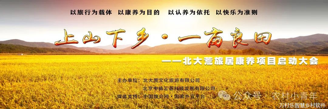 “三农”新篇章：乡村振兴的历史性跨越(4)