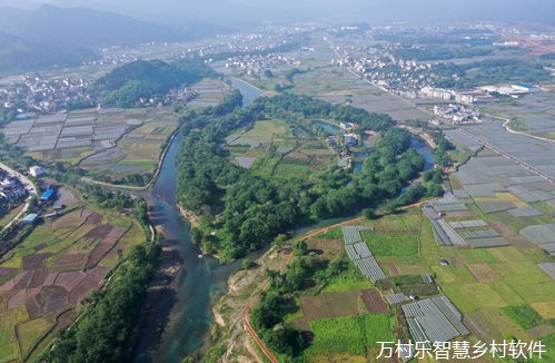 数字乡村农业园区振兴之道：趋势、转型与创新管理