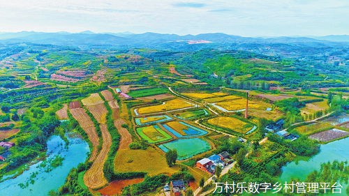农村共享经济与乡村振兴之路：创新模式、技术赋能与市场拓展
