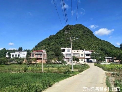 数字经济引领乡村振兴之路：农业产业新机遇与市场开拓实践
