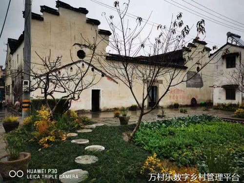 数字经济引领乡村振兴之路：农业产业新机遇与市场开拓实践