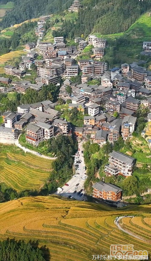 数字经济引领乡村振兴之路：农业产业新机遇与市场开拓实践