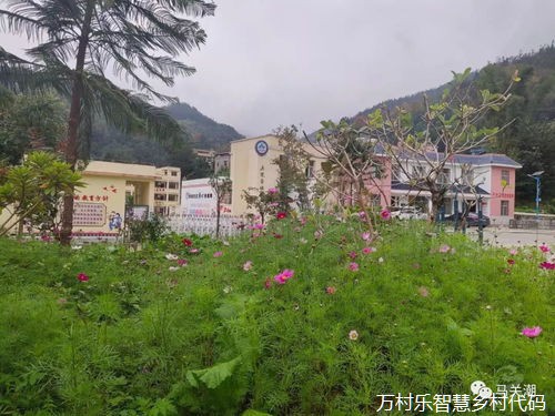 蹄疾步稳闯新路 安徽扎实推进国家数字乡村试点建设 蹄疾步稳闯新路 安徽扎实推进国家数字乡村试点建设