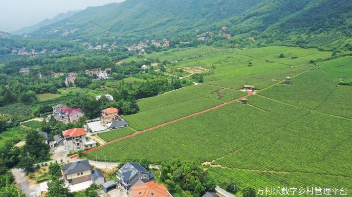 融乡村治理于共同富裕之中(9)