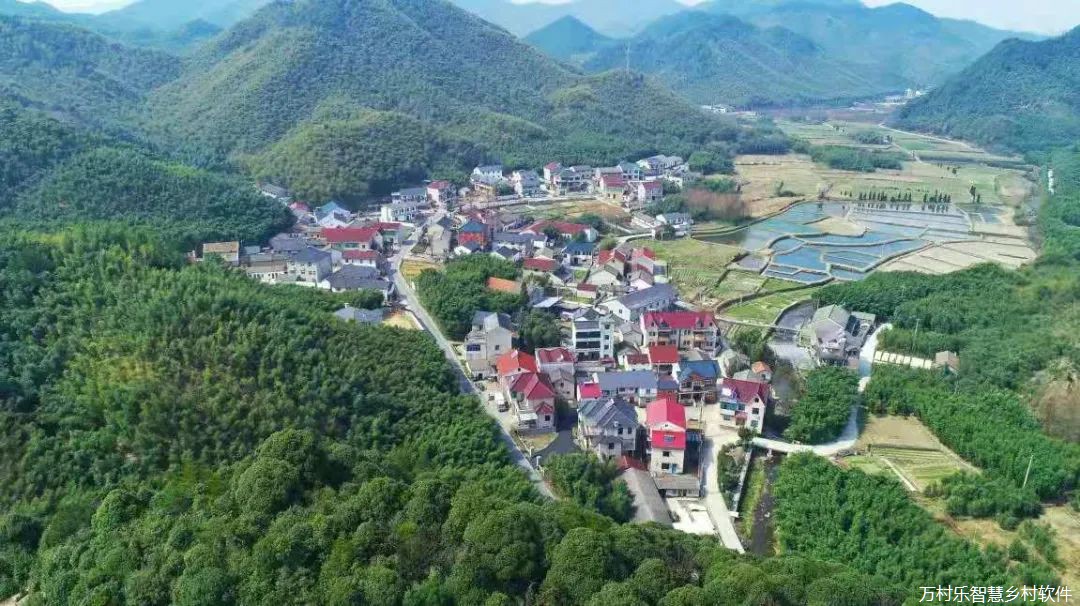 德清县人民政府 在德清，看见数字乡村的模样(6)