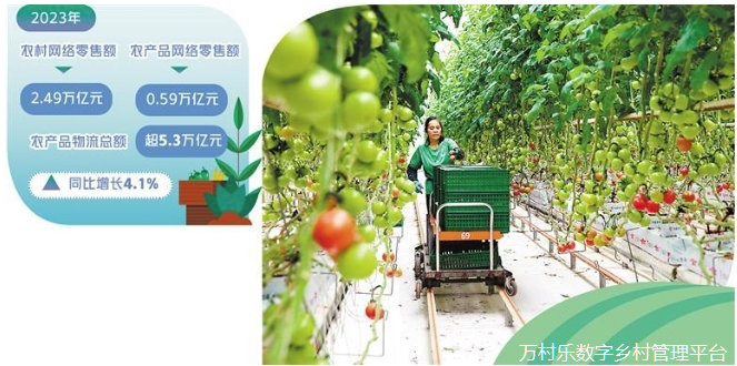 有力有序推进数字乡村建设(1)