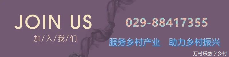 数字技术+乡村产业如何深度融合？(1)