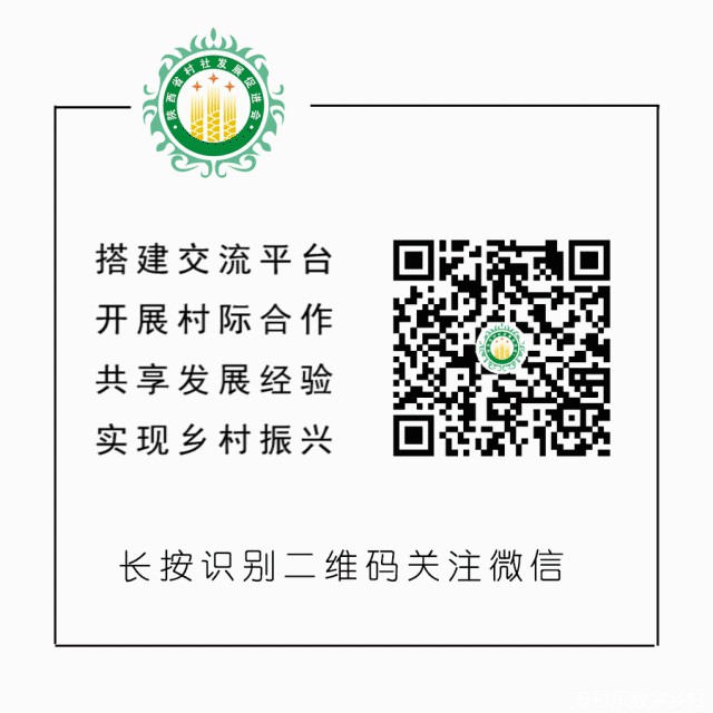 数字技术+乡村产业如何深度融合？(15)