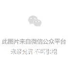 数字技术+乡村产业如何深度融合？(14)