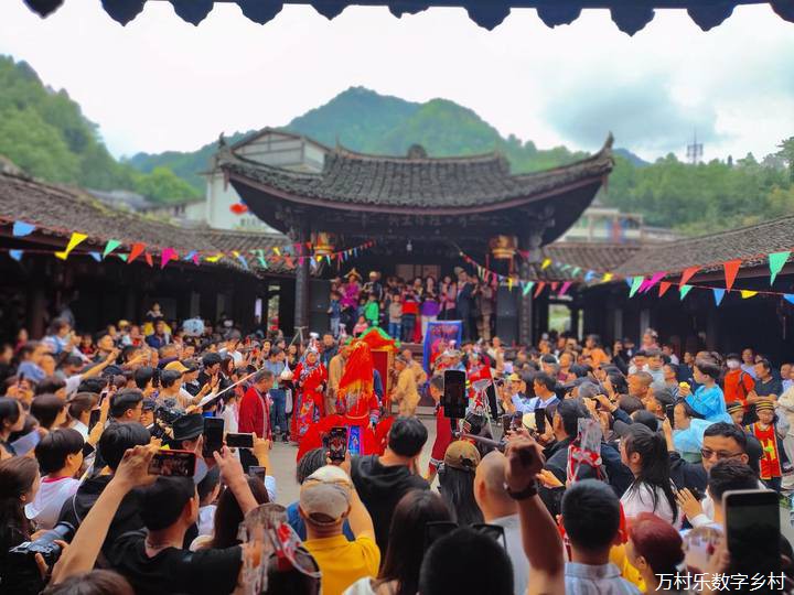绿色森林里的美丽乡村(12)